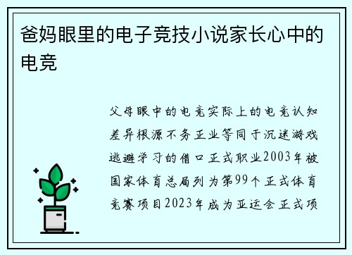爸妈眼里的电子竞技小说家长心中的电竞